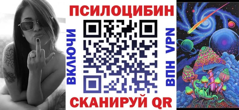закладка  Пласт  Галлюциногенные грибы мицелий 